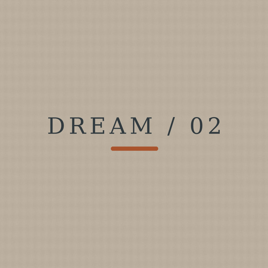 DREAM / 02 — Somewhere Ahead exact front print detail