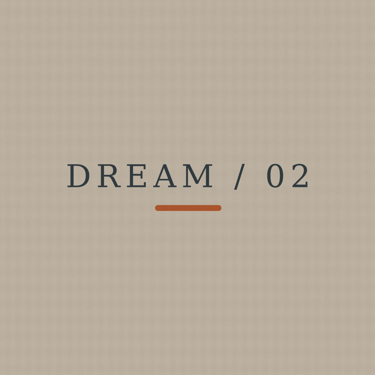 DREAM / 02 — Somewhere Ahead exact front print detail