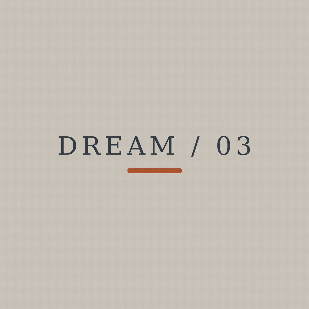 DREAM / 03 — Open Sky exact front print detail