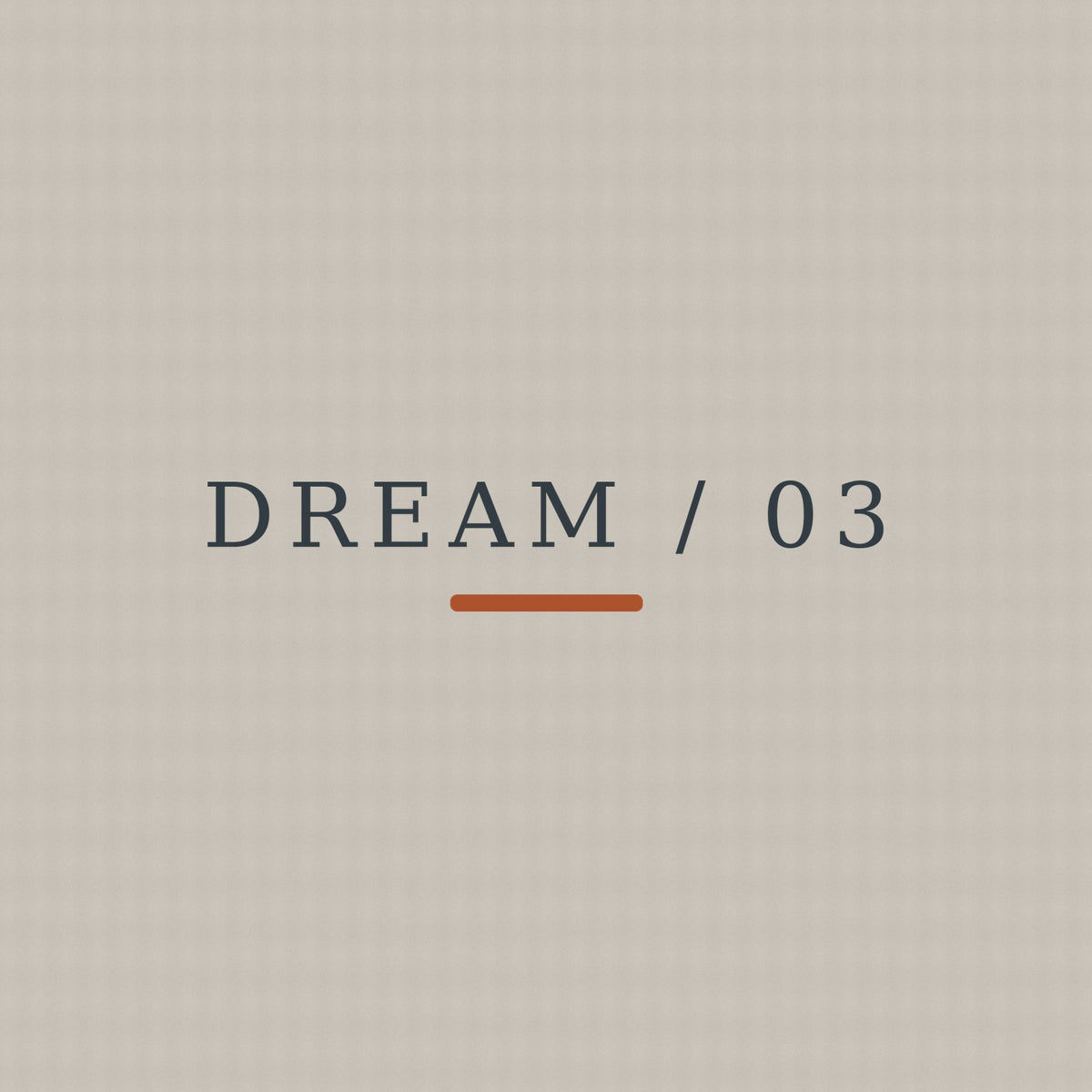 DREAM / 03 — Open Sky exact front print detail