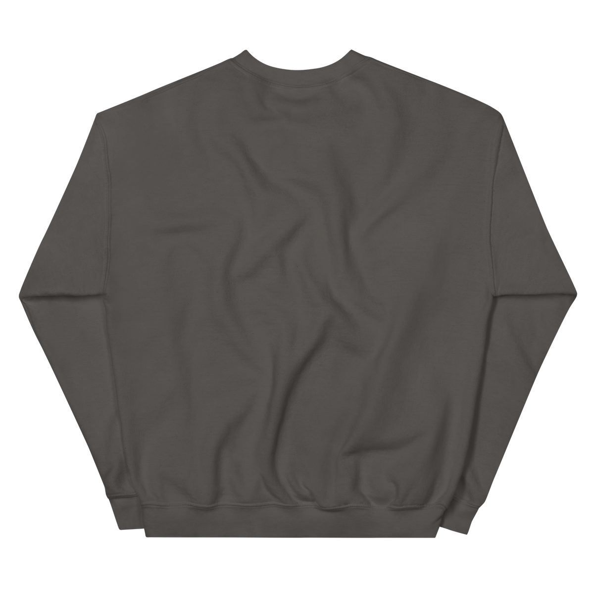 Low & Slow — New Mexico Crewneck in Charcoal, back view with no print.