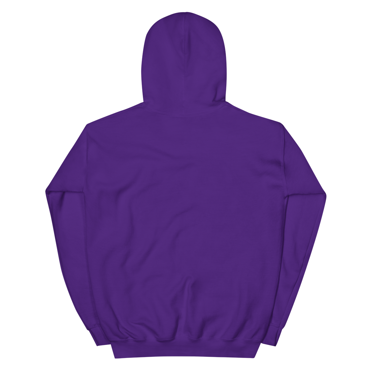 Taos Frequency — New Mexico Hoodie in Purple, back view with no print.
