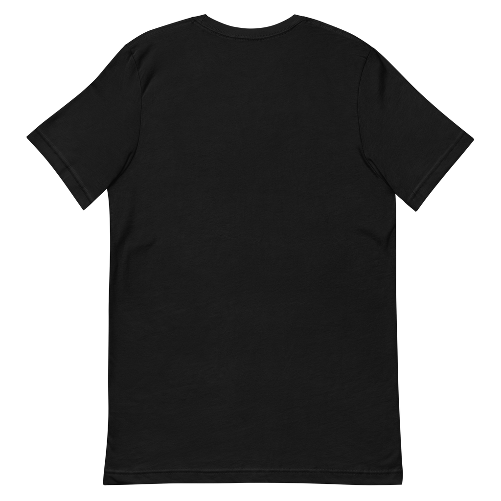 Dune Theory — New Mexico Tee in Black, back view with no print.