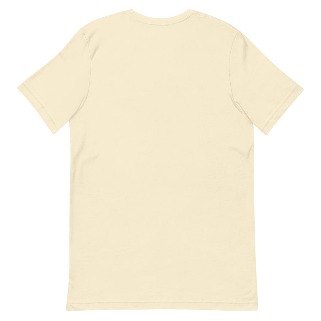 Don't Follow the River — New Mexico Tee in Natural, back view with no print.