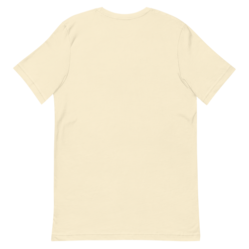 Don't Follow the River — New Mexico Tee in Natural, back view with no print.