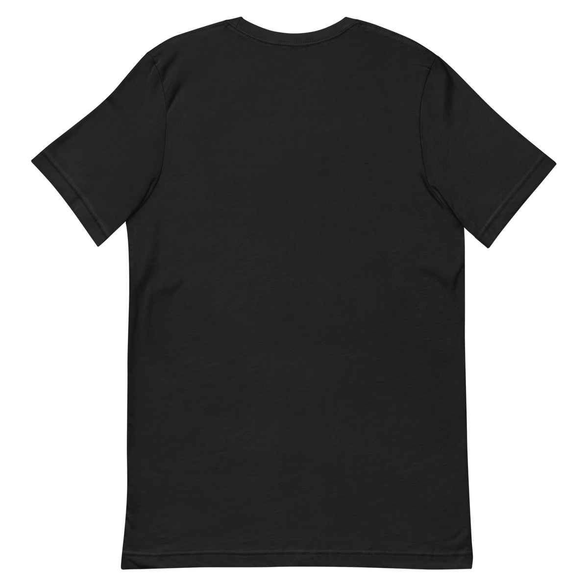 Christmas Is the Call — New Mexico Tee in Vintage Black, back view with no print.